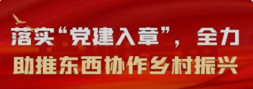 落实“党建入章”，全力助推东西协作乡村振兴
